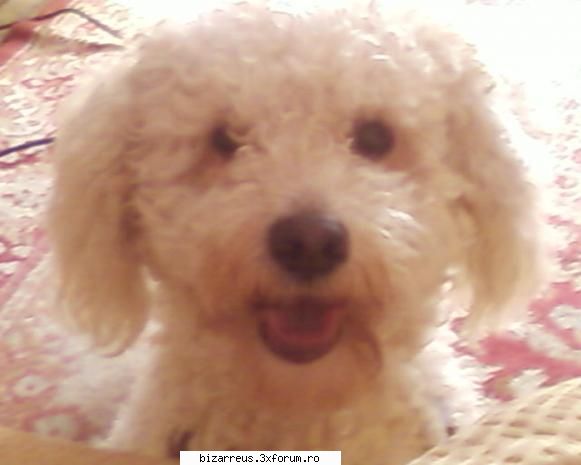 Little Rozzy...[Crazzy Emo Kid] - hai sa va arat ce minune - ●๋�Pictures With Us●๋�