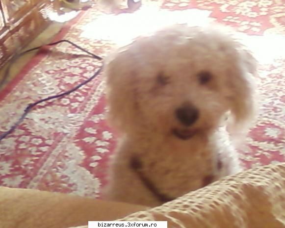 Little Rozzy...[Crazzy Emo Kid] - ★ஜ☠Rozzy☠ஜ★ - ●๋�Pictures With Us●๋�
