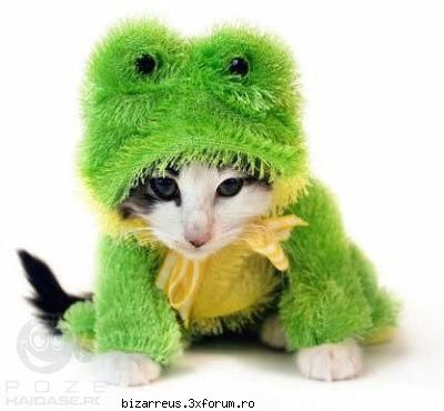 Nota pentru poza - e chiar funny poza - ●๋�Games●๋�