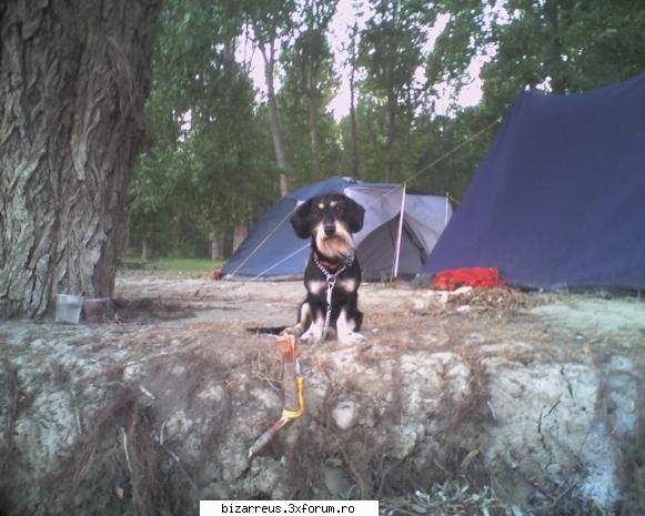 Pets? - si o poza mai veche cu Lisa :) e pref mea (*) - ●๋�WellCome Here●๋�